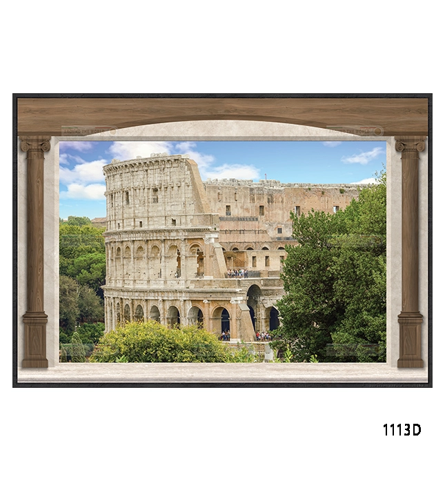 1113d-roma-s