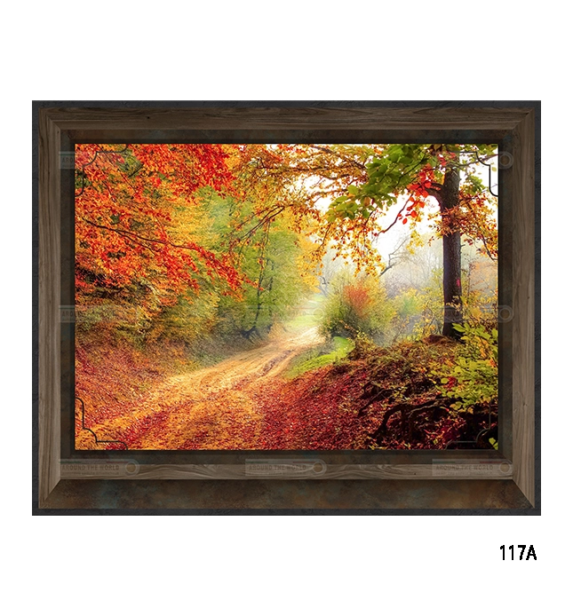 117a-collineeboschi-s