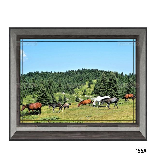 155a-cavalli-s