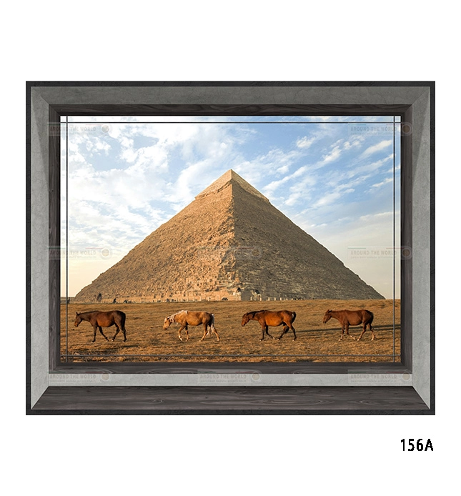 156a-cavalli-s