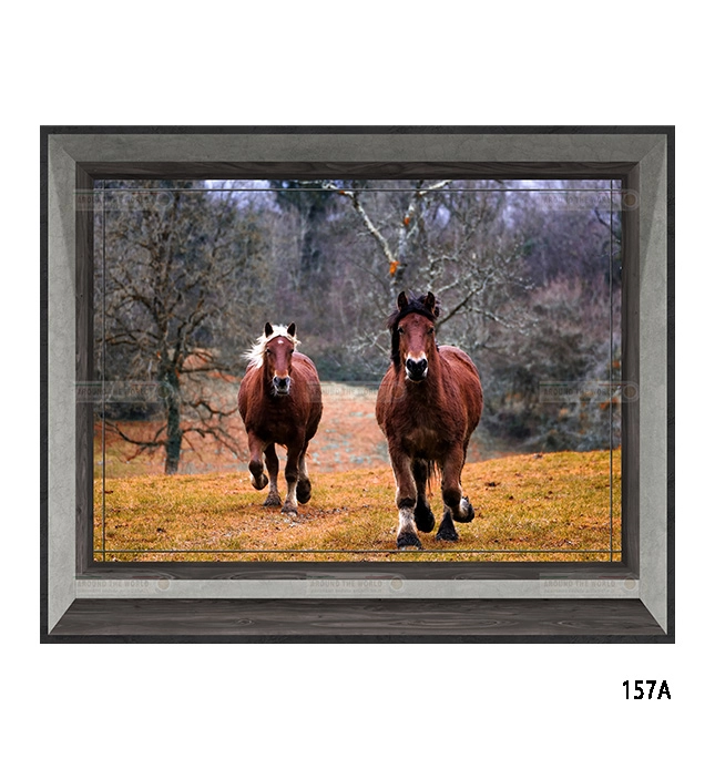 157a-cavalli-s