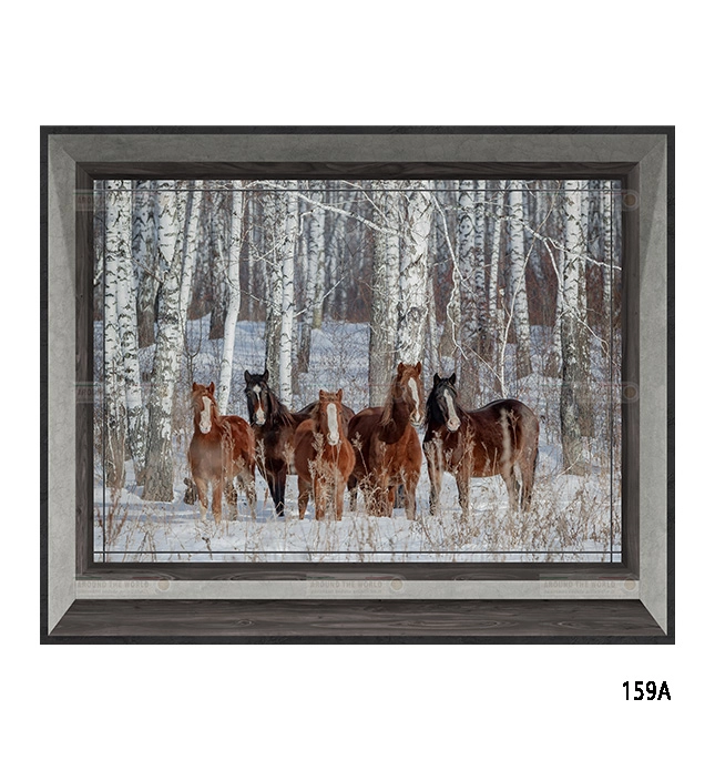 159a-cavalli-s