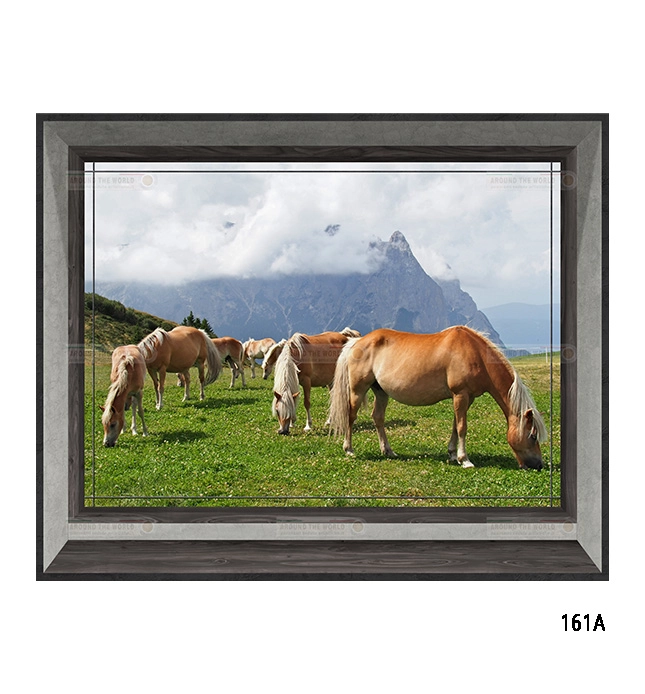161a-cavalli-s