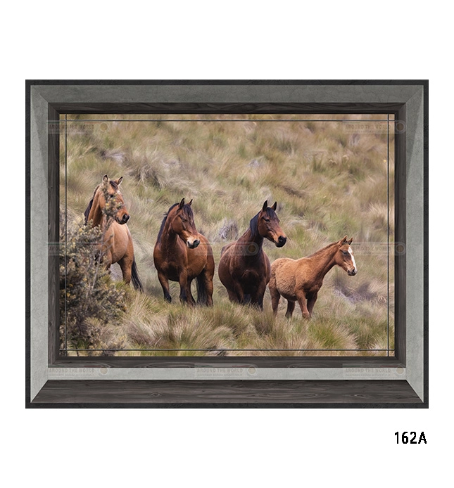 162a-cavalli-s