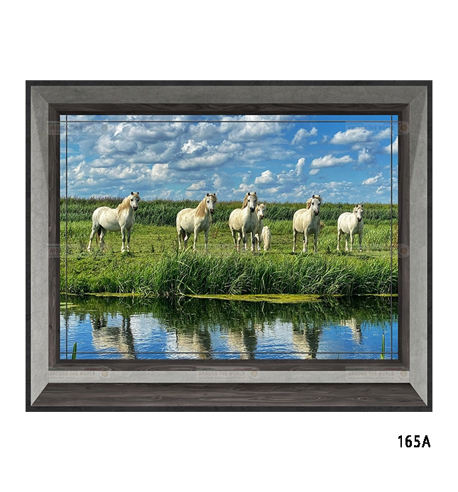 165a-cavalli-s