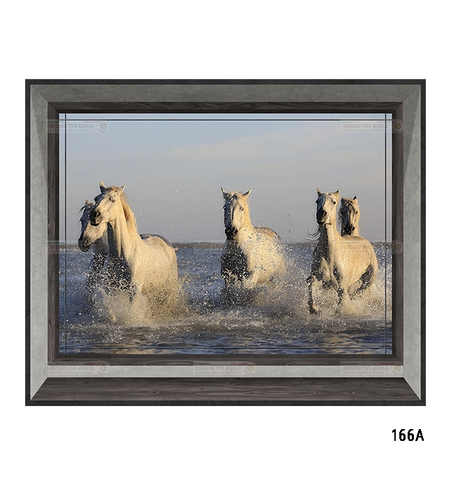 166a-cavalli-s