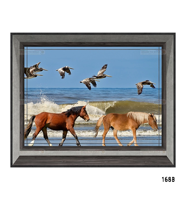 168b-cavalli-s