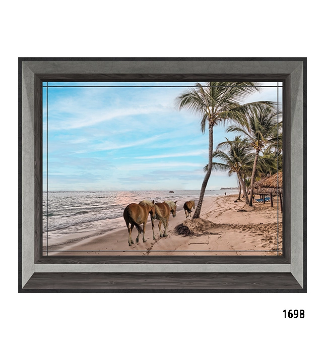 169b-cavalli-s