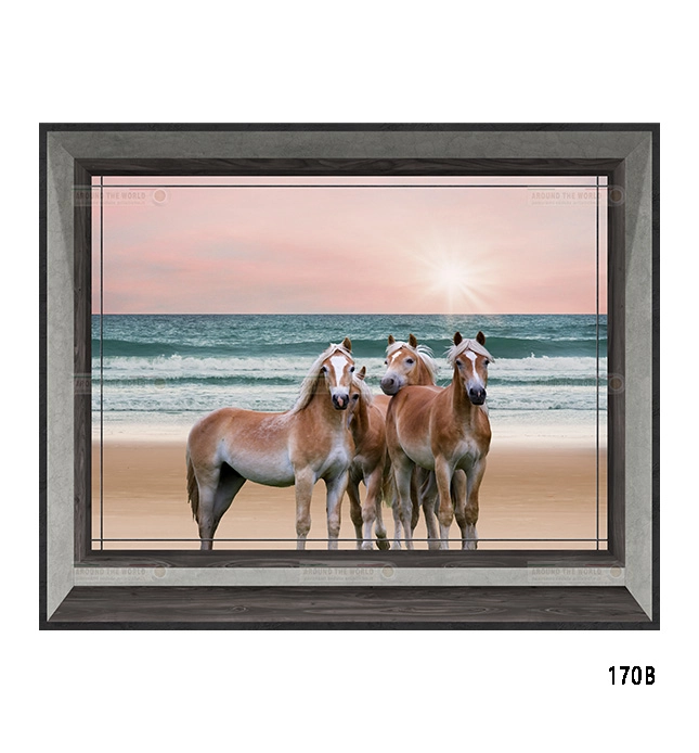 170b-cavalli-s