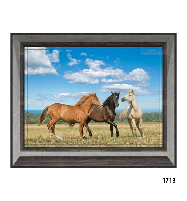 171b-cavalli-s