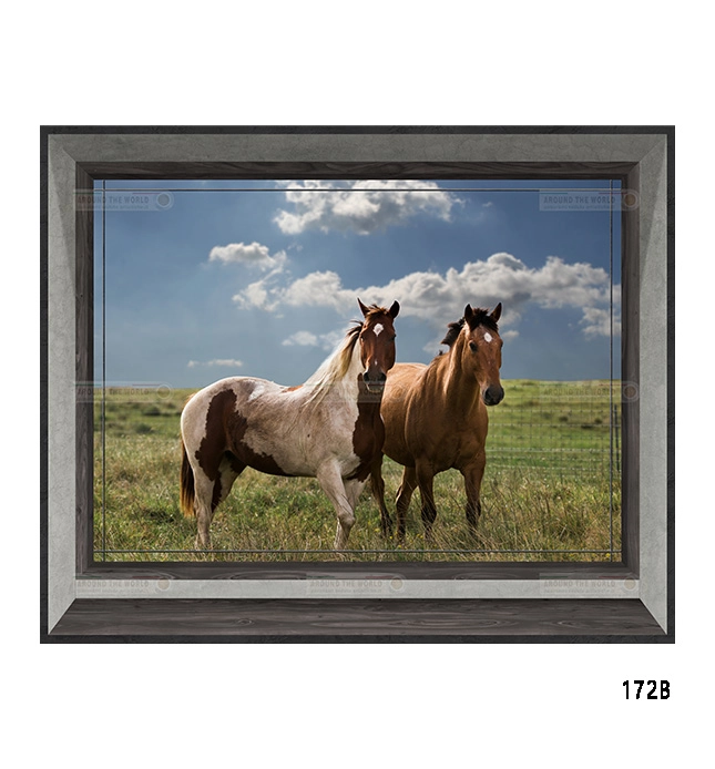 172b-cavalli-s