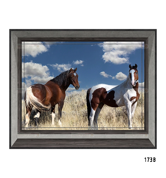 173b-cavalli-s