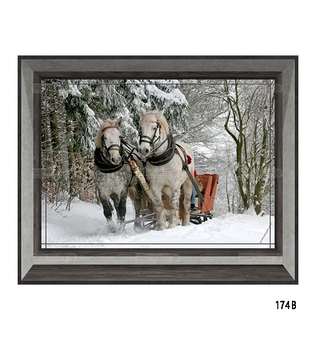 174b-cavalli-s