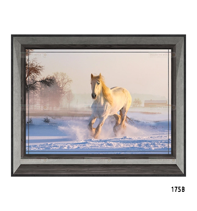 175b-cavalli-s