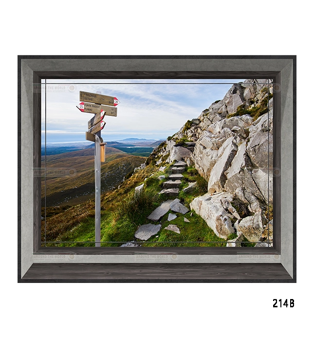 214b-collineeboschi-s