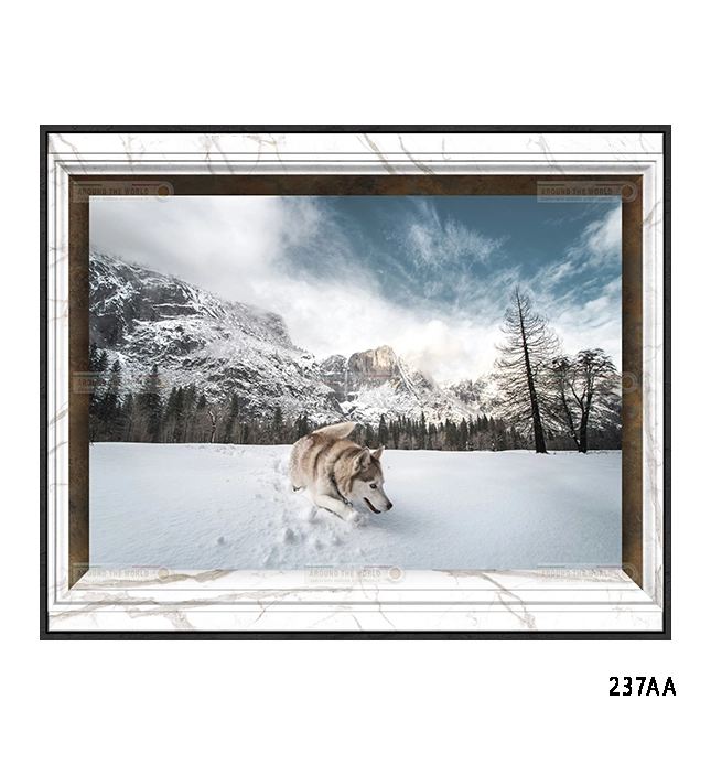 237aa-collineeboschi-s