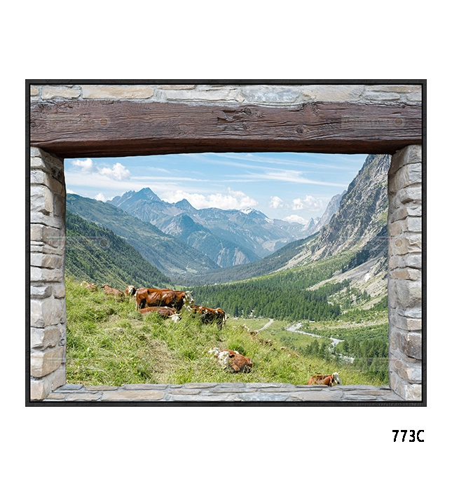 773c-montebiancocourmayeur-s